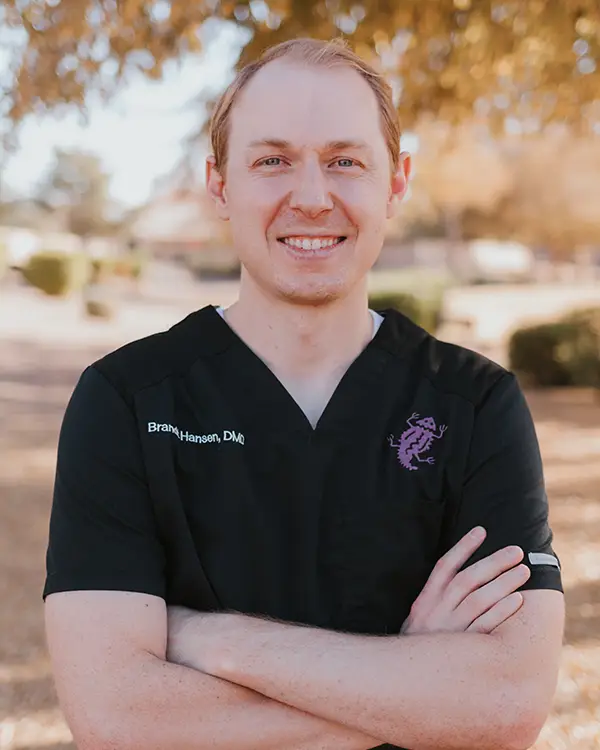 Dr. Hansen of Robert F. Walker Jr. DDS in Chandler, AZ 