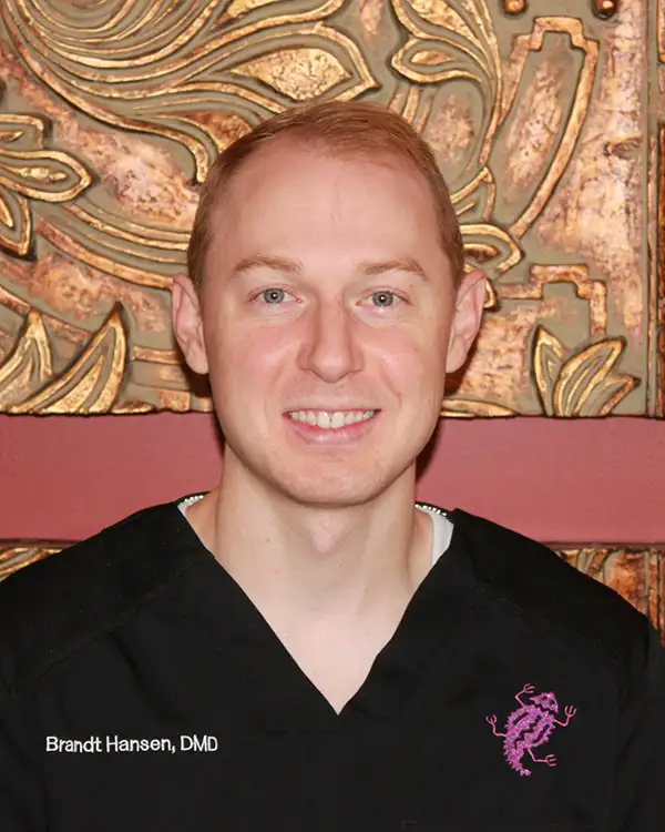 Dr. Hansen of Robert F. Walker Jr. DDS in Chandler, AZ 